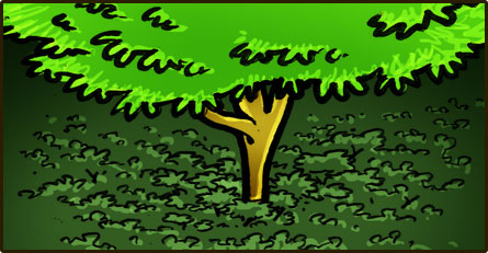 Grand arbre surplombant une forêt d'autres arbres