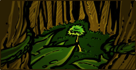Petit arbre entouré d'autres arbres dans la jungle
